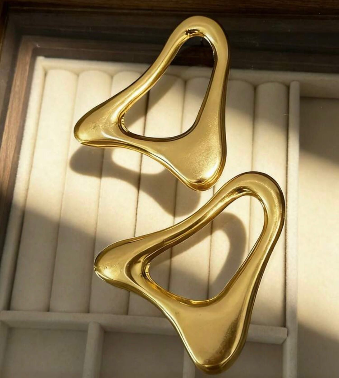 Stainless Steel Earrings