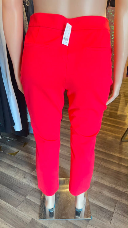 NY & CO Pixie Pant