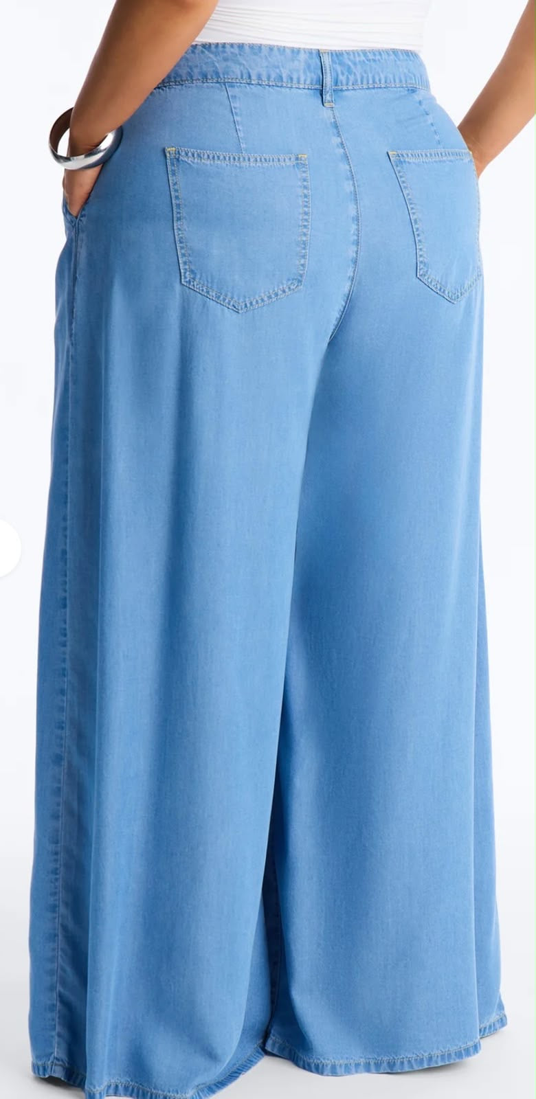 Wide Leg Chambray Pants