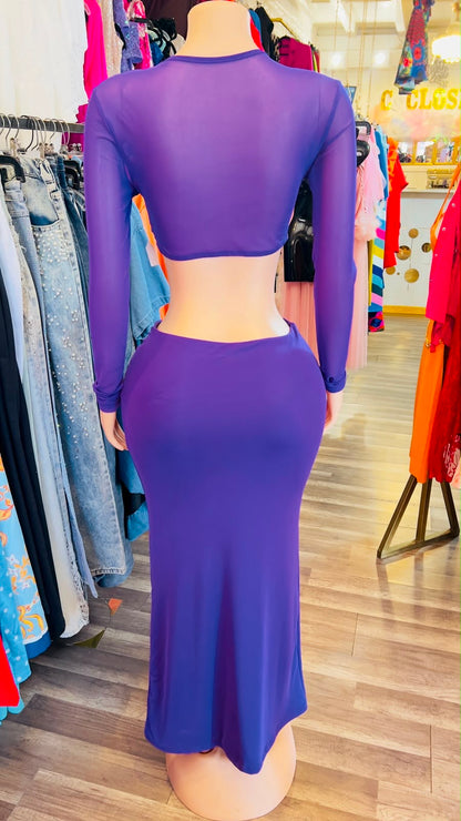 Sheer Maxi Skirt Set