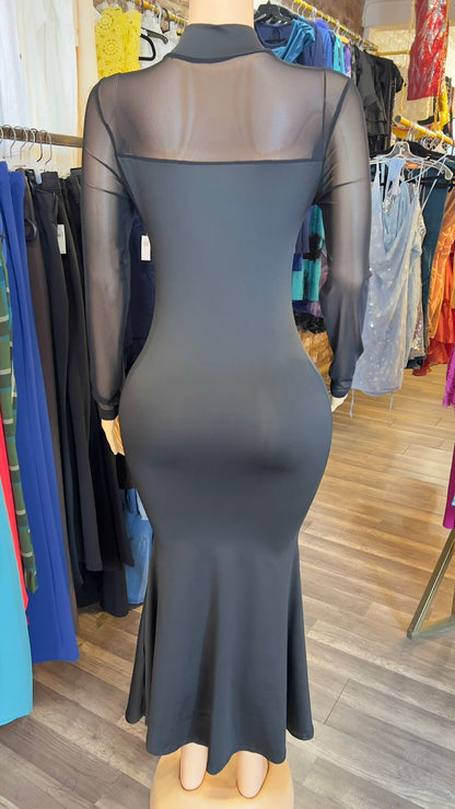 Long Sleeve Fitted Dress