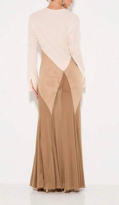 Cowl Neck Sheer Maxi Long Sleeve Dress