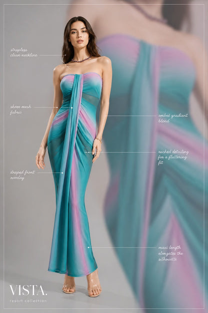Tube Sheer Dress