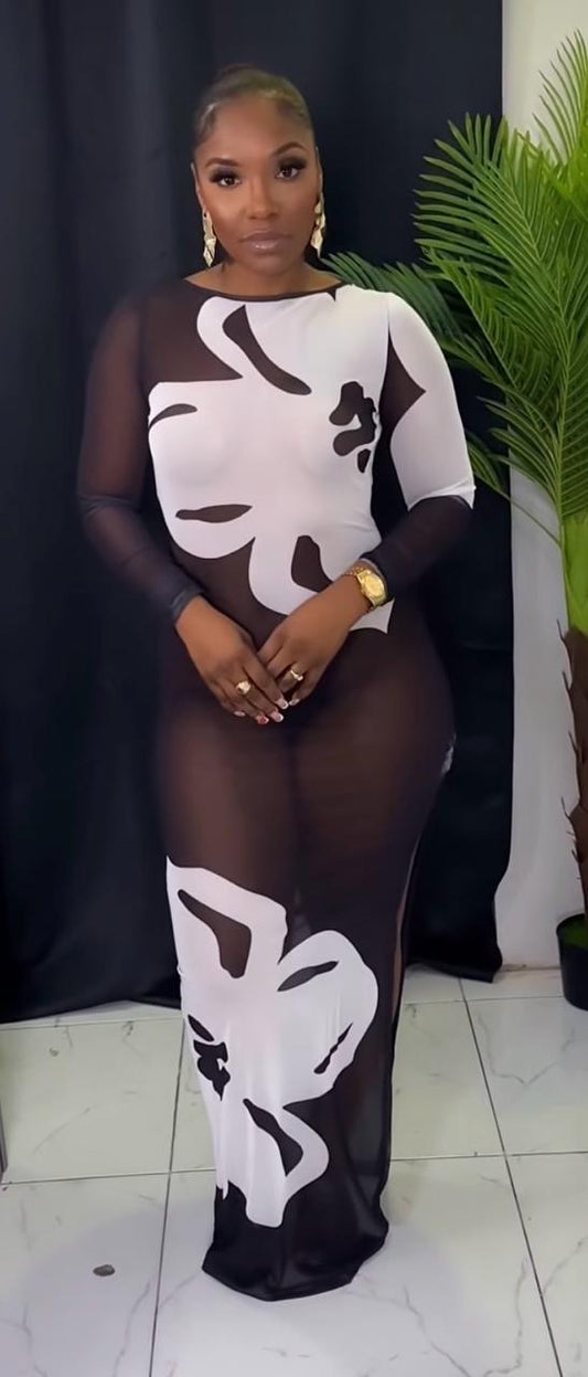 Sheer Long Sleeve Cover Up Dress