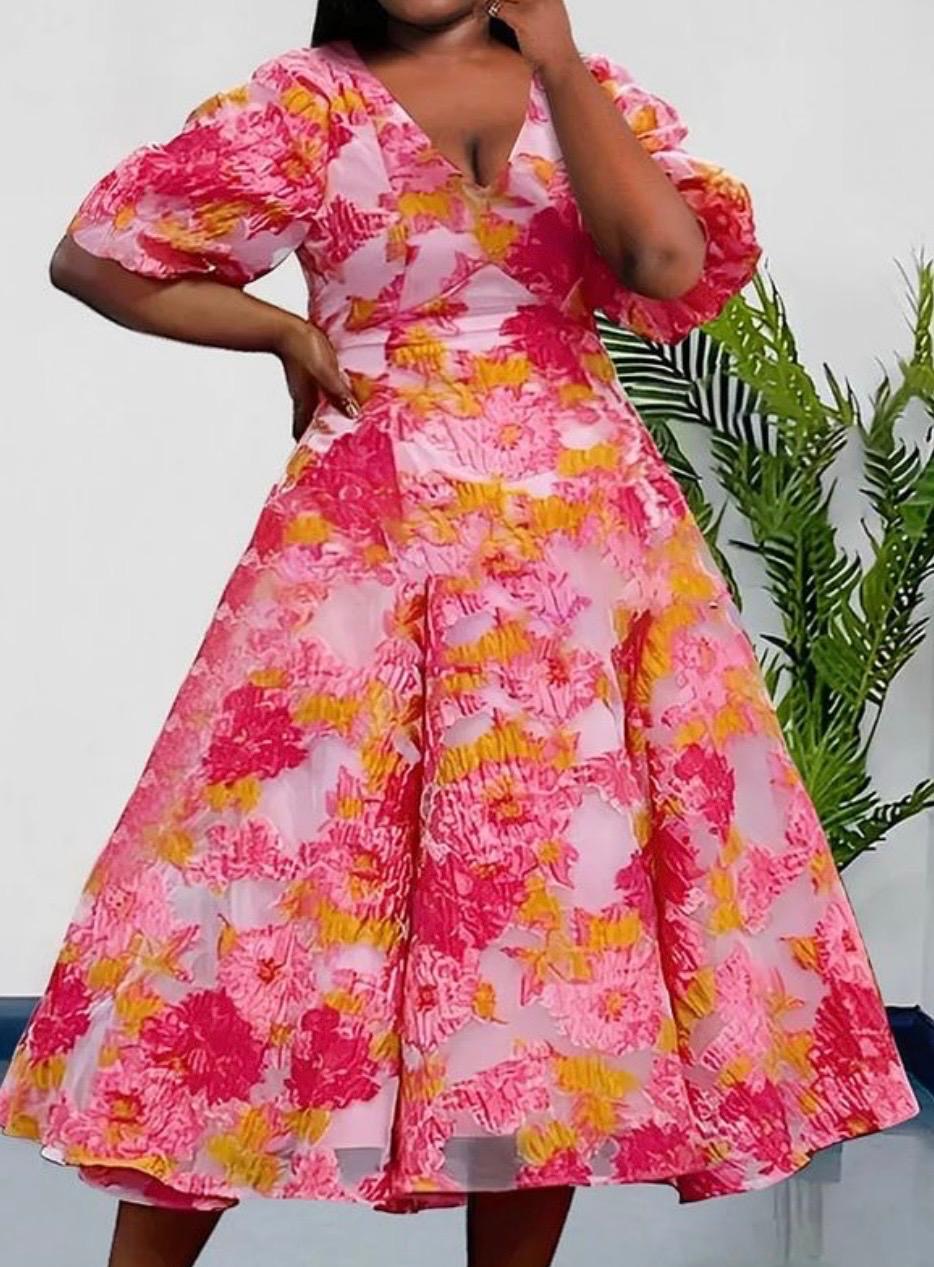 Embroidery Flare Dress