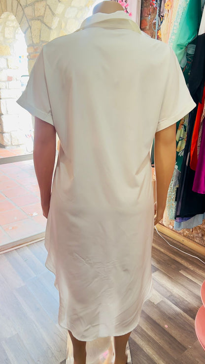 Painted Shirt Dress