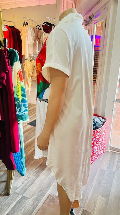 Painted Shirt Dress